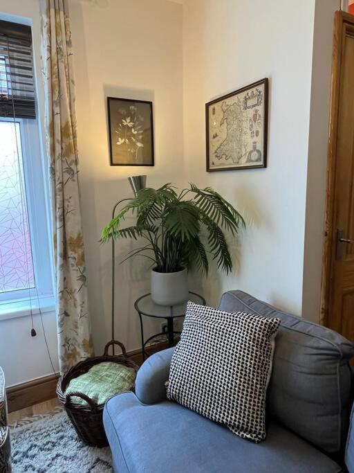 Just The Splott! Sleeps 6, 8 Mins To Stadium. Cardiff Exteriör bild
